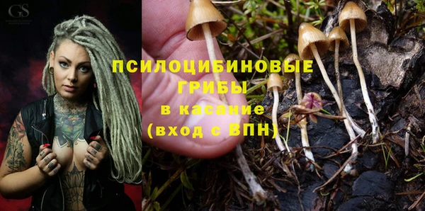 гашиш Ростов