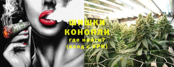 стаф Протвино