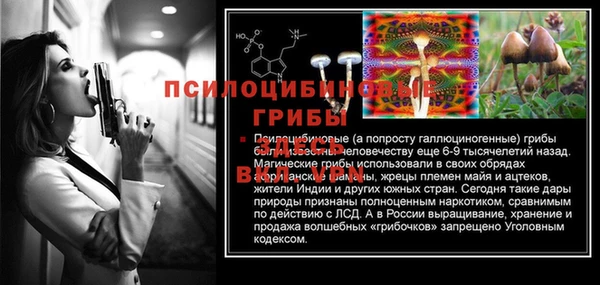 мяу мяу мука Пролетарск