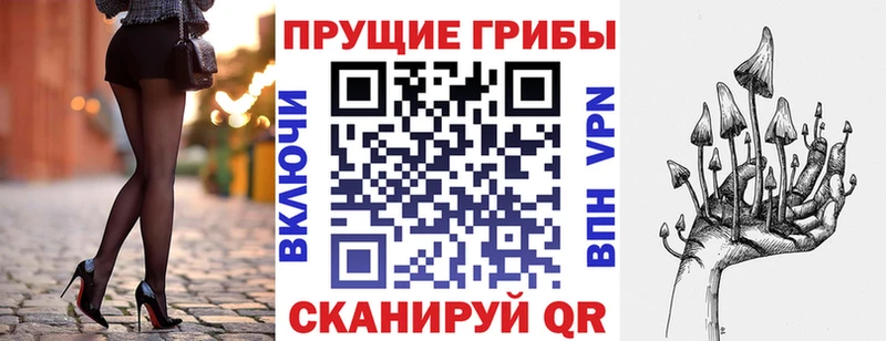 Галлюциногенные грибы MAGIC MUSHROOMS где найти Сальск