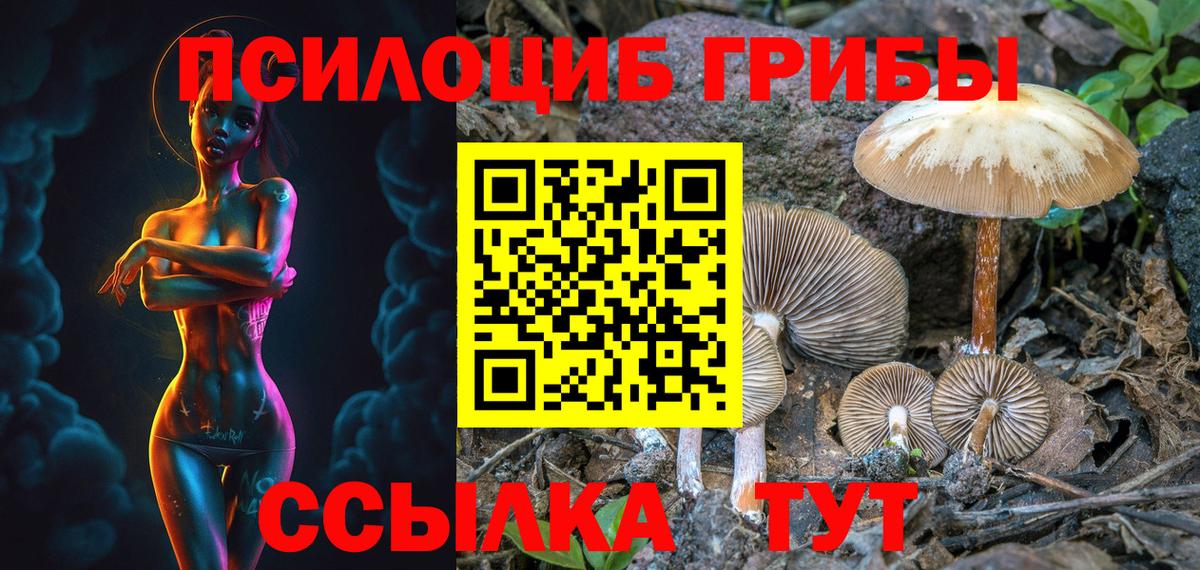 Галлюциногенные грибы прущие грибы Сальск